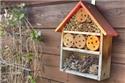 Veranstaltungsbild Insektenhotel bauen